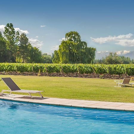 Postales Boutique Winery Hotel - Valle De Uco Колония-лас-Росас Экстерьер фото
