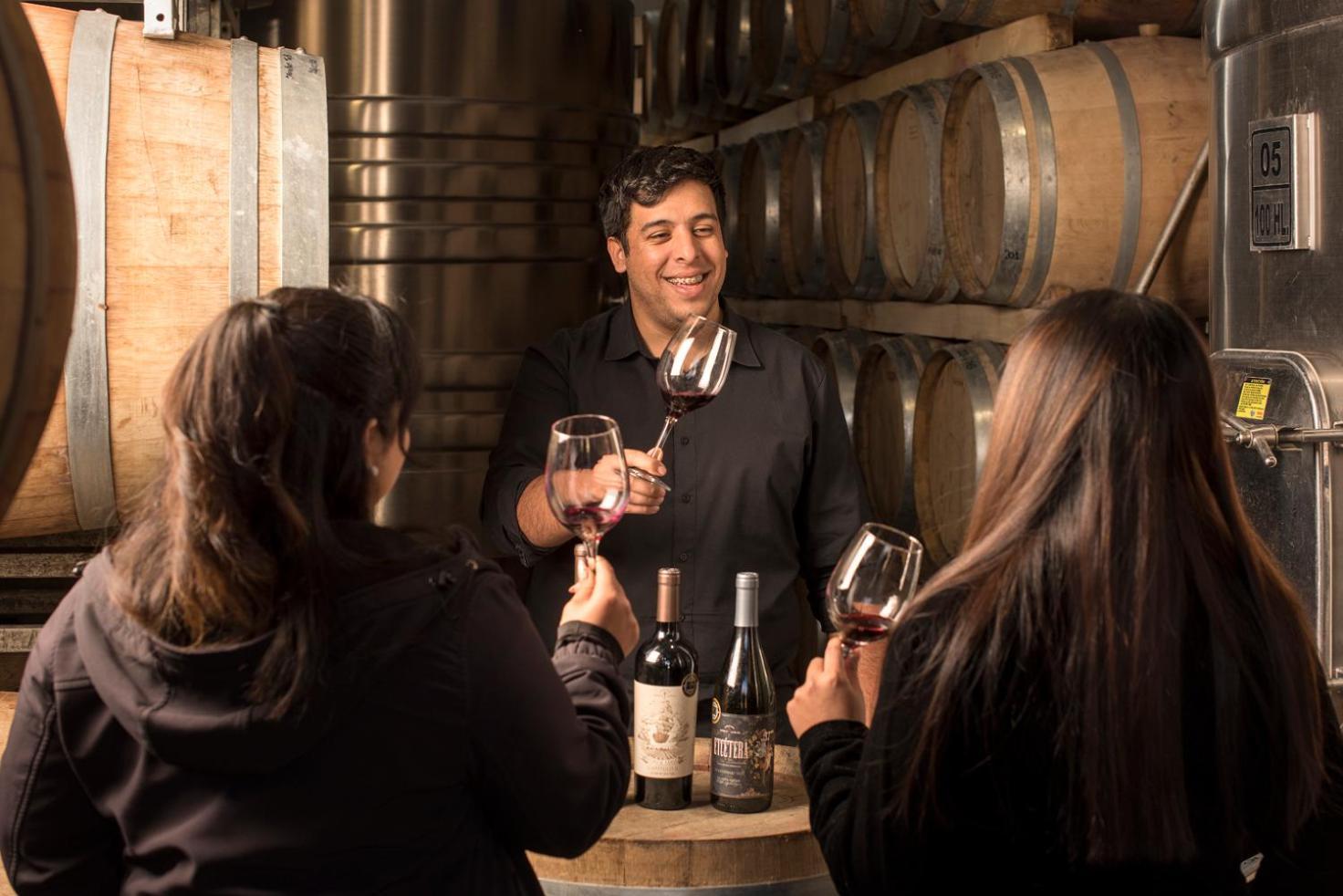 Postales Boutique Winery Hotel - Valle De Uco Колония-лас-Росас Экстерьер фото
