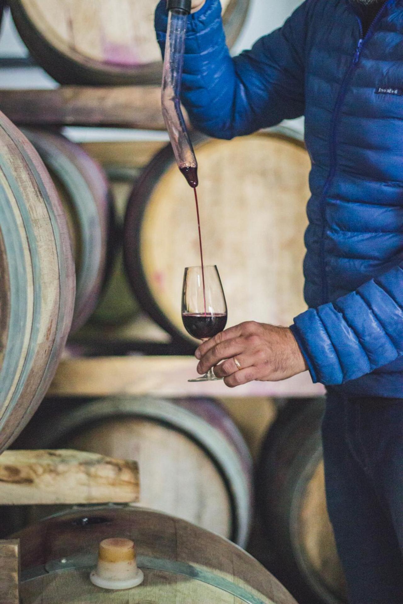 Postales Boutique Winery Hotel - Valle De Uco Колония-лас-Росас Экстерьер фото