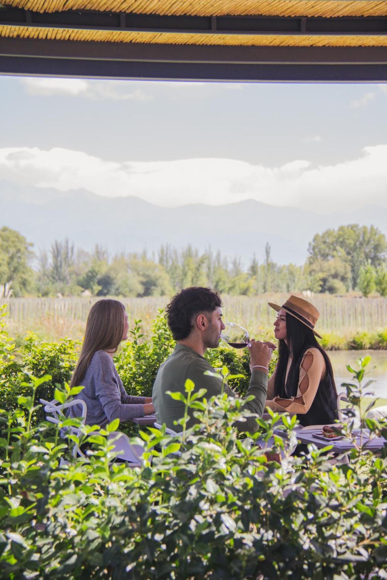 Postales Boutique Winery Hotel - Valle De Uco Колония-лас-Росас Экстерьер фото