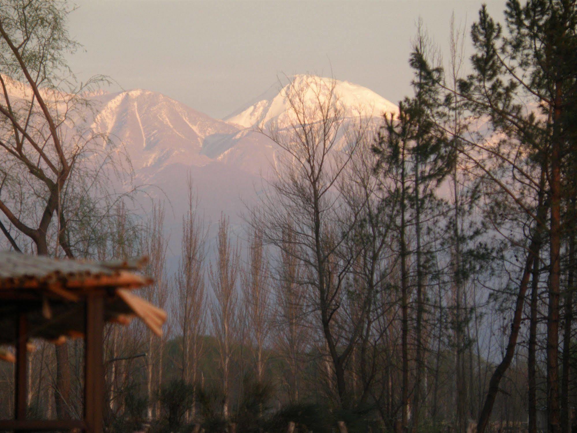 Postales Hotel Boutique Valle De Uco Колония-лас-Росас Экстерьер фото