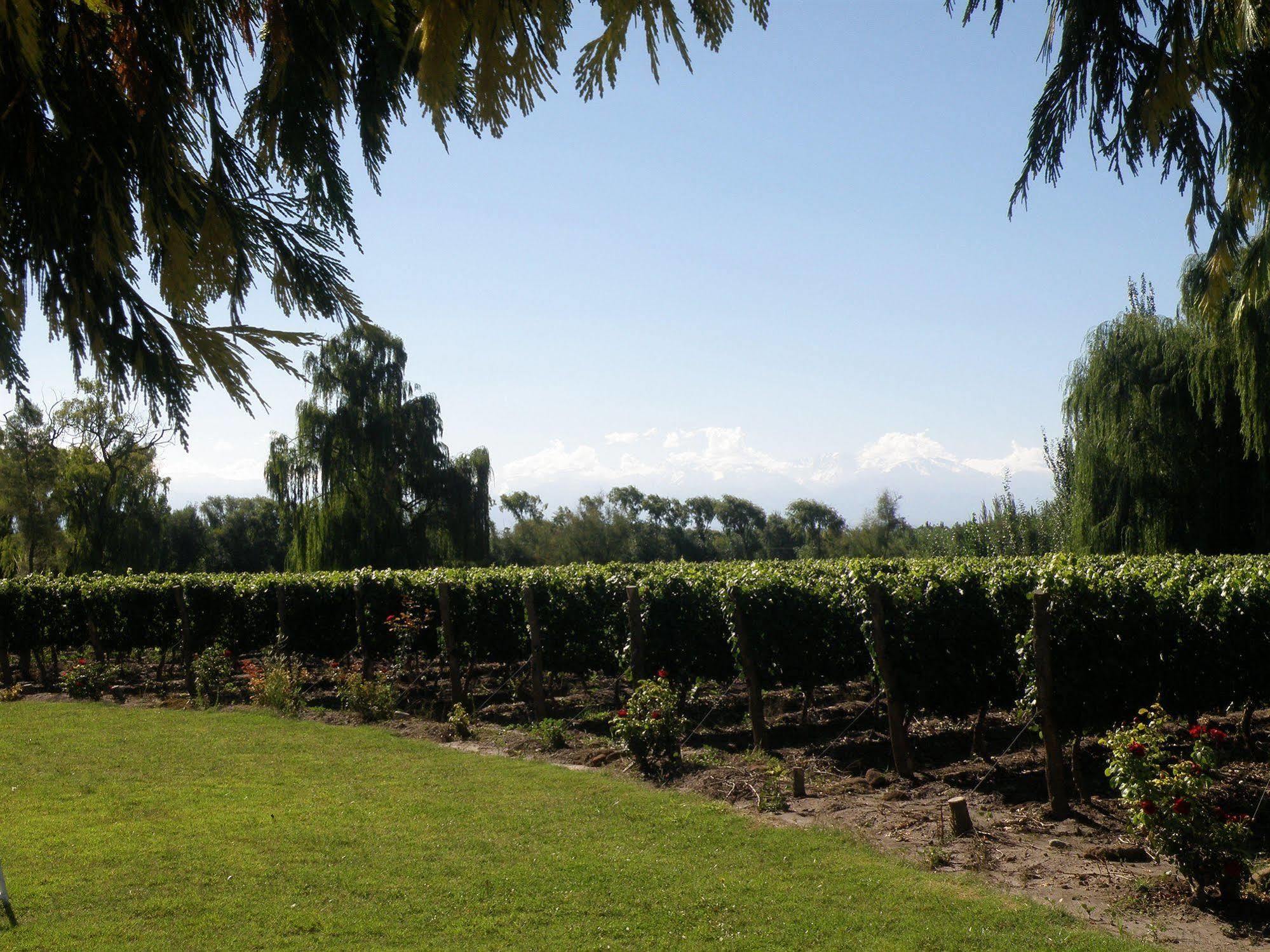 Postales Boutique Winery Hotel - Valle De Uco Колония-лас-Росас Экстерьер фото