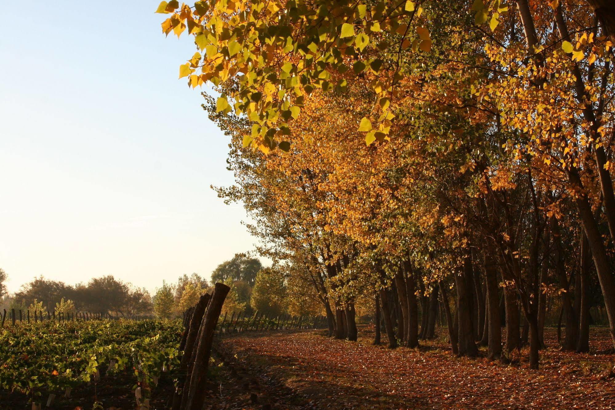 Postales Boutique Winery Hotel - Valle De Uco Колония-лас-Росас Экстерьер фото