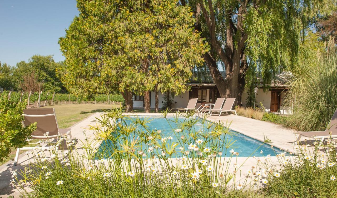 Postales Boutique Winery Hotel - Valle De Uco Колония-лас-Росас Экстерьер фото