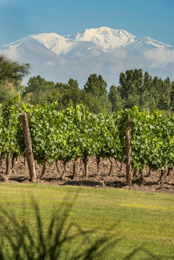 Postales Boutique Winery Hotel - Valle De Uco Колония-лас-Росас Экстерьер фото