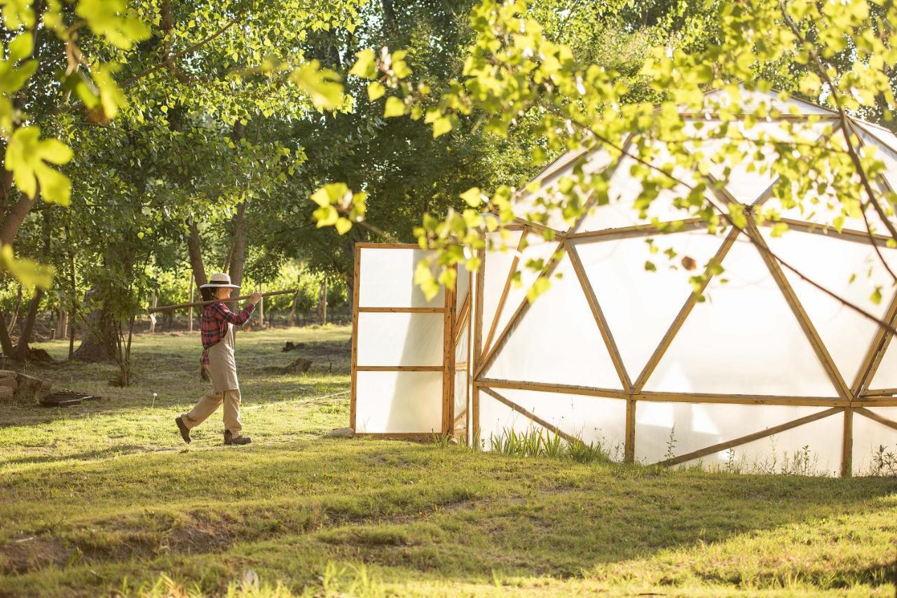 Postales Boutique Winery Hotel - Valle De Uco Колония-лас-Росас Экстерьер фото