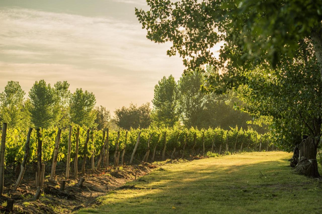 Postales Boutique Winery Hotel - Valle De Uco Колония-лас-Росас Экстерьер фото